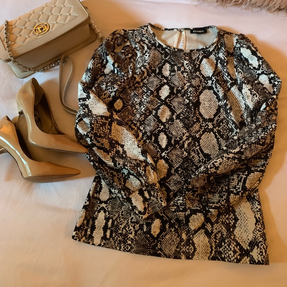 Express Snakeskin Top